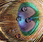 Eye3 by JAYSMILES23