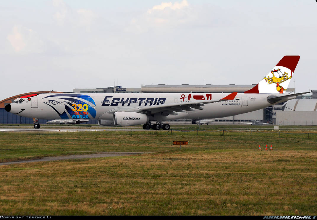 Airbus A330-200 Egyptair 320 Freleng Avenue Livery by ...