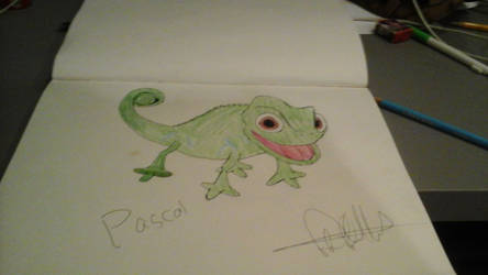 pascal