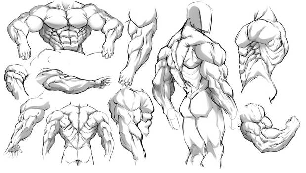 Muscle Practice