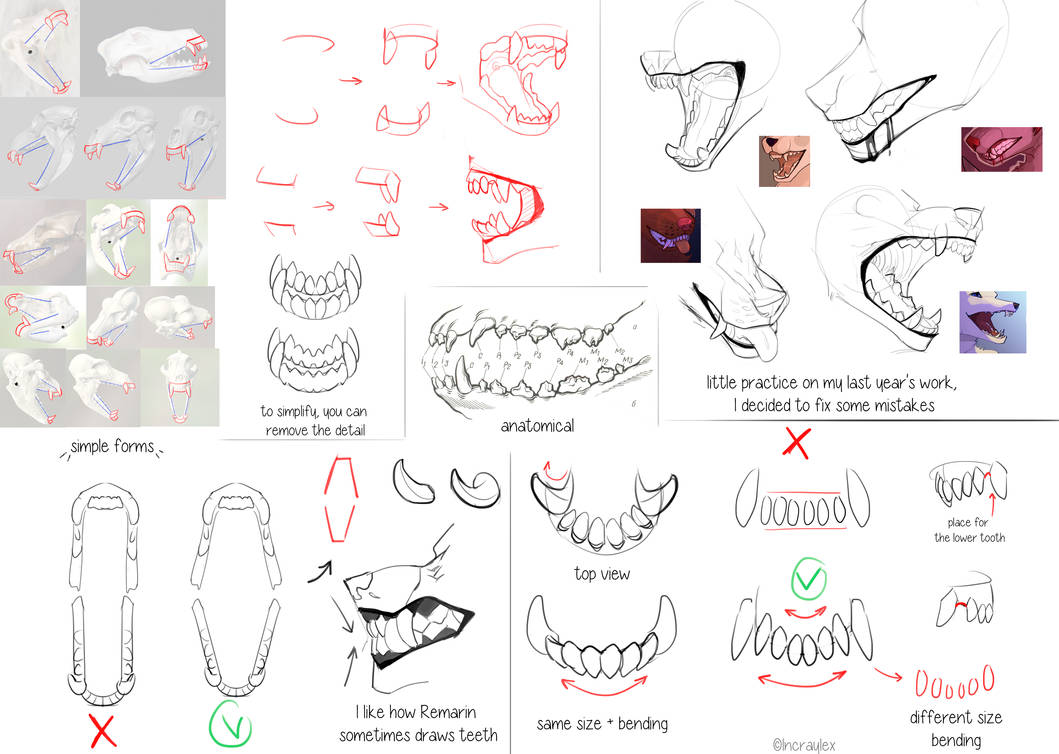 Teeth Tutorial By Incraylex On Deviantart Teeth Tutorial By Incraylex On Deviantart