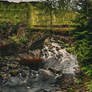 Farigaig Forest, Scottish Highlands vol. 2