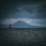 Windsurfer