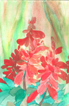 Salvia Dance by RebeccaTripp