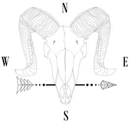 Ram Skull sketchy lineart