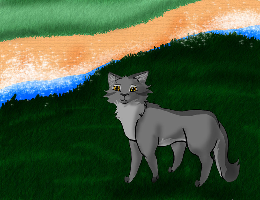 Graystripe