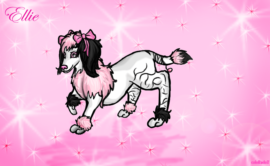 Ellie Pinkpoodle contest