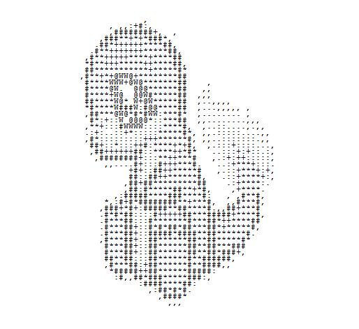 Charmander AsCiI