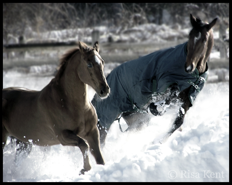 snow-play