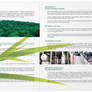 Darmex Brochure-InsidePage