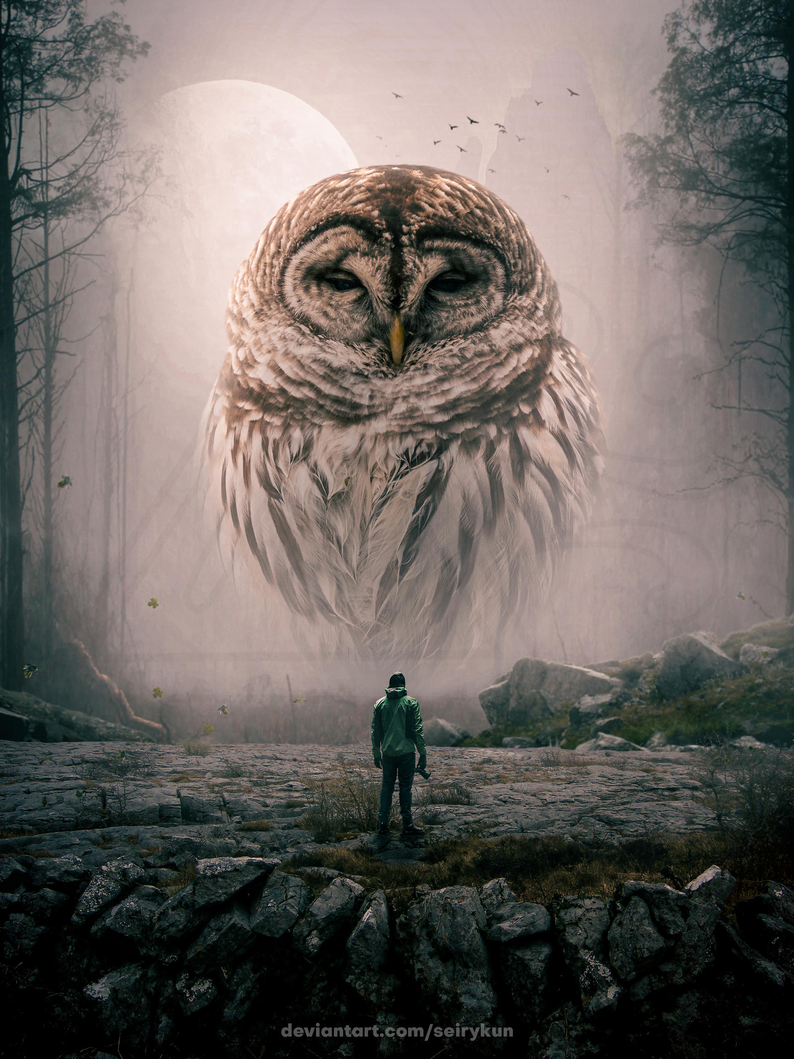 Photomontage - Owl in the Forest