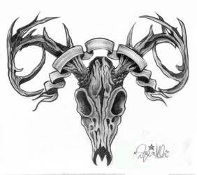 Deer skull