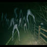 Fresno Nightcrawlers crossing