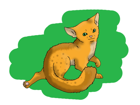 :REQ/GFT: Tinderpaw