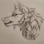 .:Wolf sketch #4:.