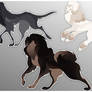 Dog Adopts
