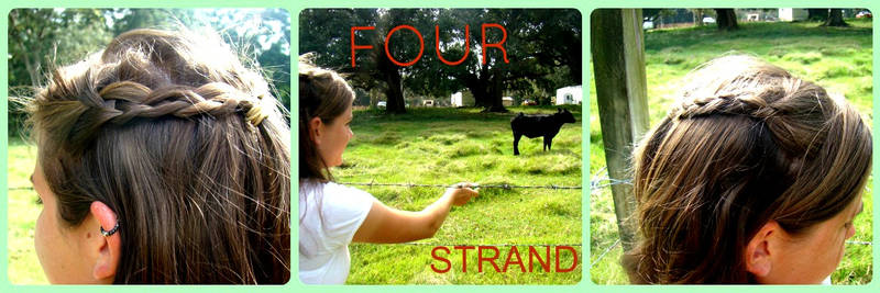 Four Strand Braid