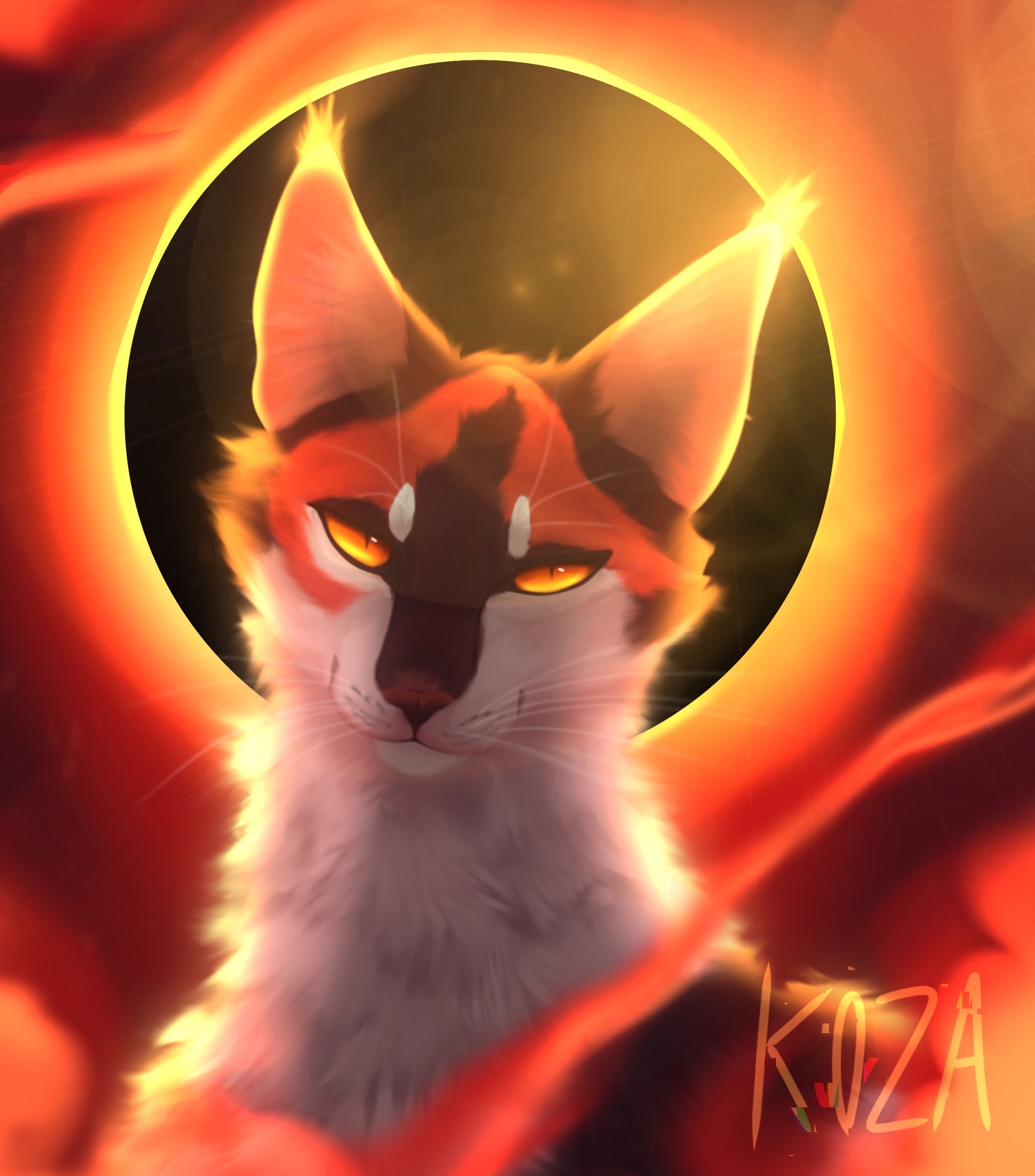 Solor Cat Warrior Cats Sol