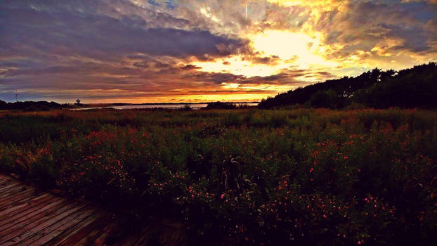 Sunset near the beach