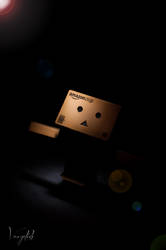 Danbo The Star !