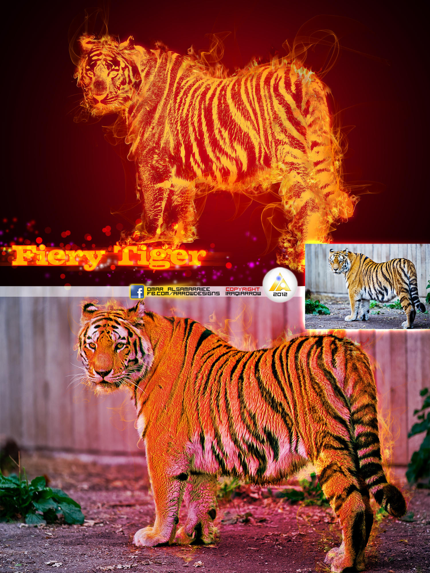 Fiery Tiger