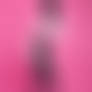 Pink Puppet