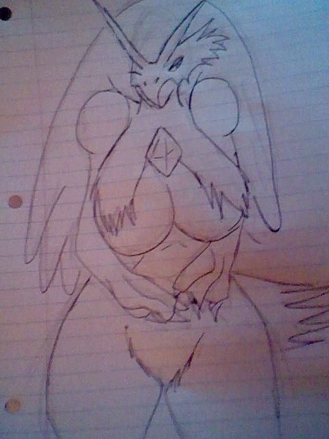 Blaziken with boobs -RQ-