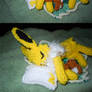 R10S1 Sleeping Jolteon