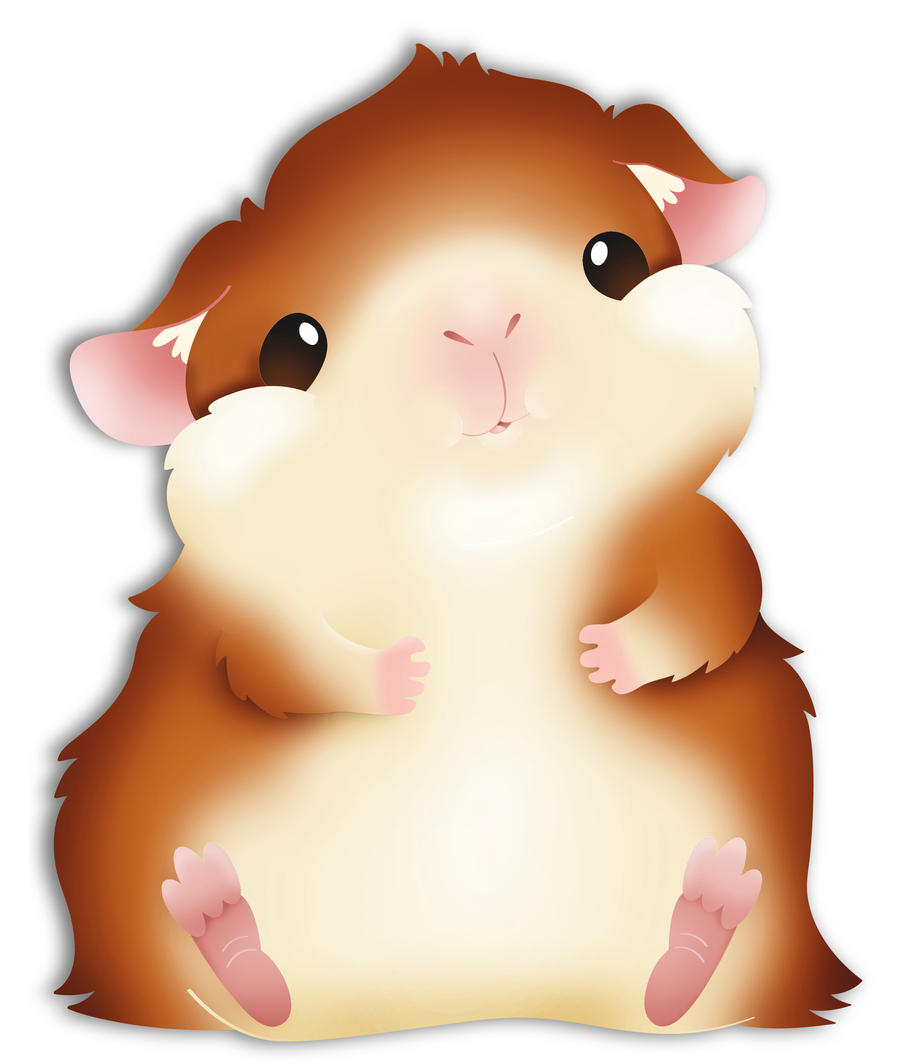 Fat Guinea Pig