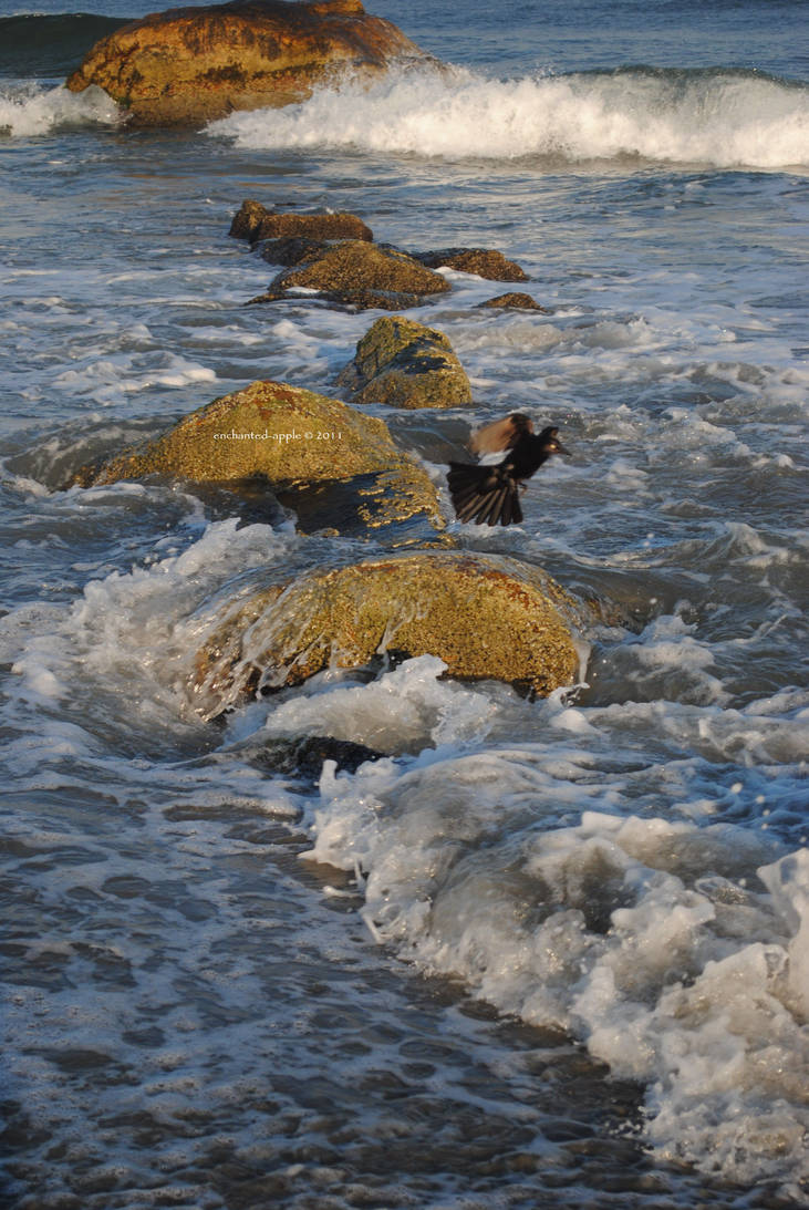 Flight from the Waves