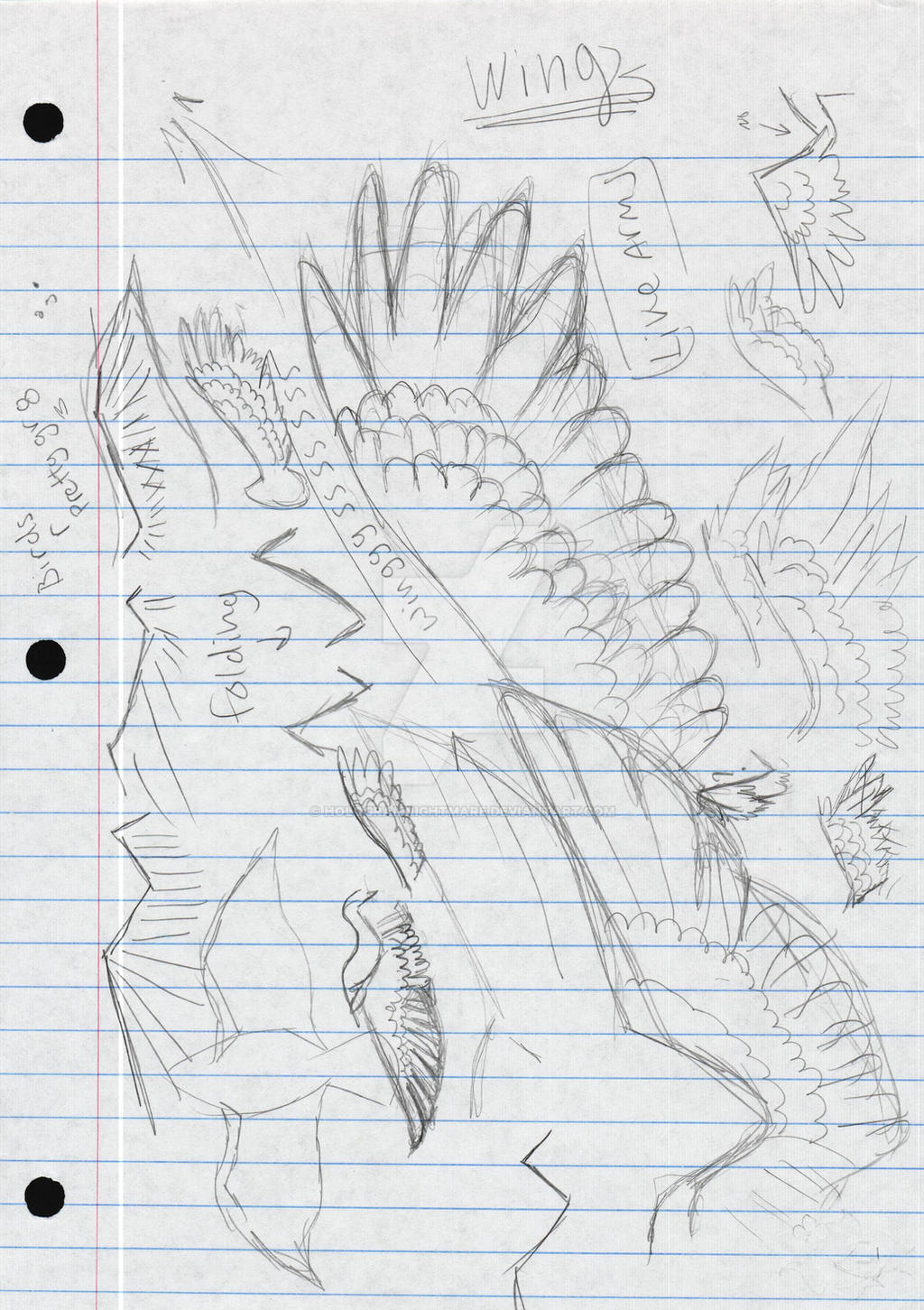 Wing Note Wing notes by hologramnightmare on DeviantArt
