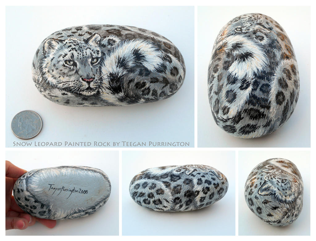Snow Leopard Painted Rock By Teeganpurrington On Deviantart Snow Leopard Painted Rock By Teeganpurrington On Deviantart