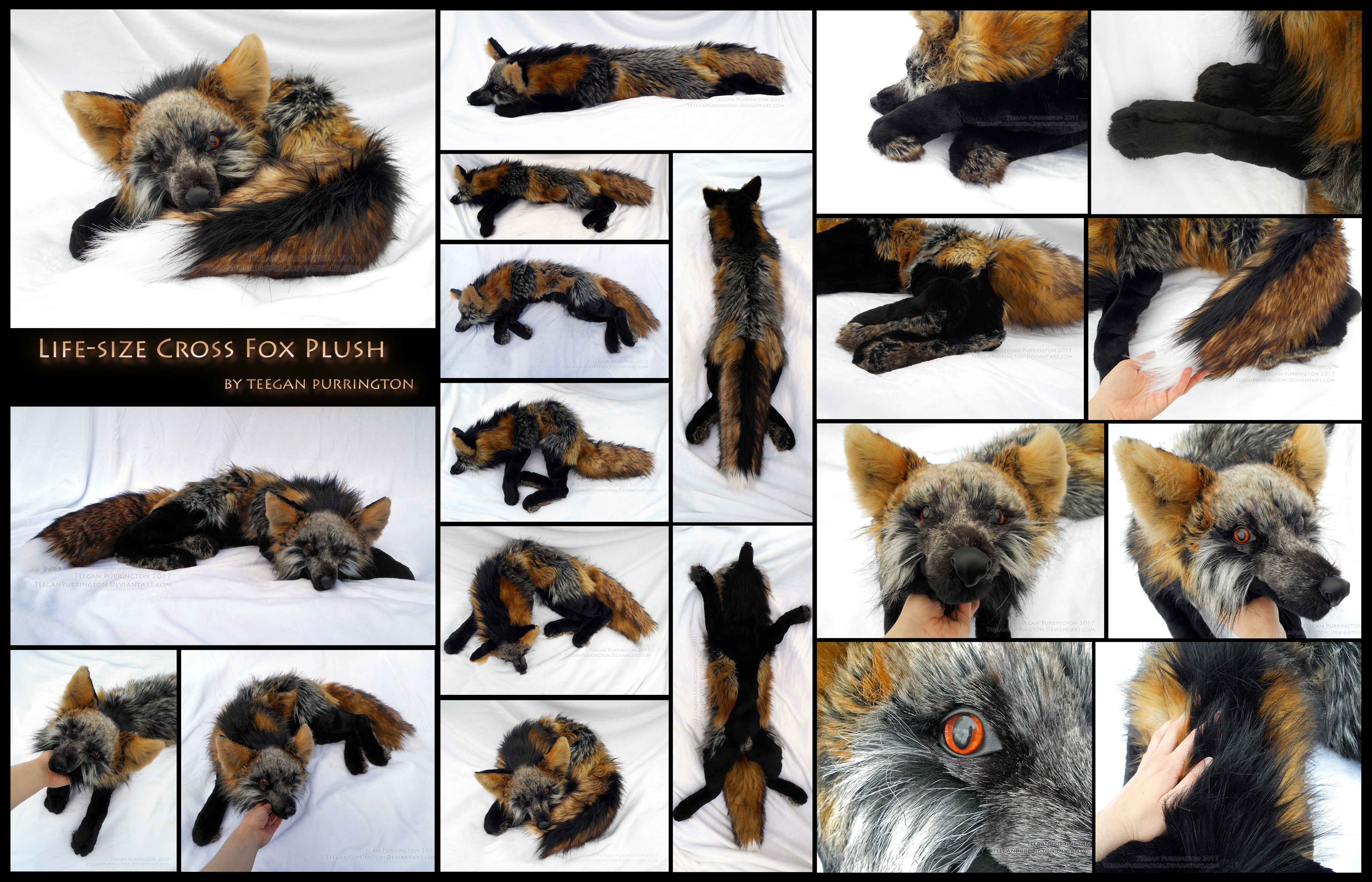 Cross Fox: Life-Size Floppy Plush Detail (Compact)