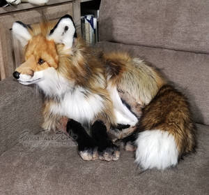 Riyu in the Chair