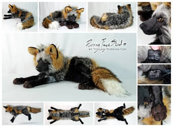 Cross Fox Collage (SOLD)