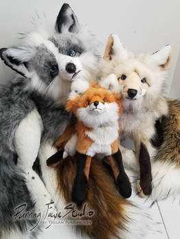 Three Fox Plush Sizes