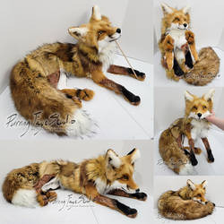 Vincent the Red Fox Plush