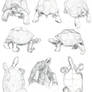 Digipen Art 110 Class Orthographic (Tortoise)