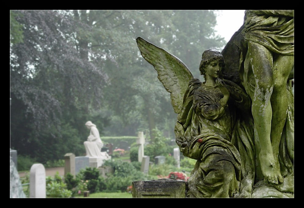 Slitheen Angel SM - Snail and Angel by theMuspilli on DeviantArt