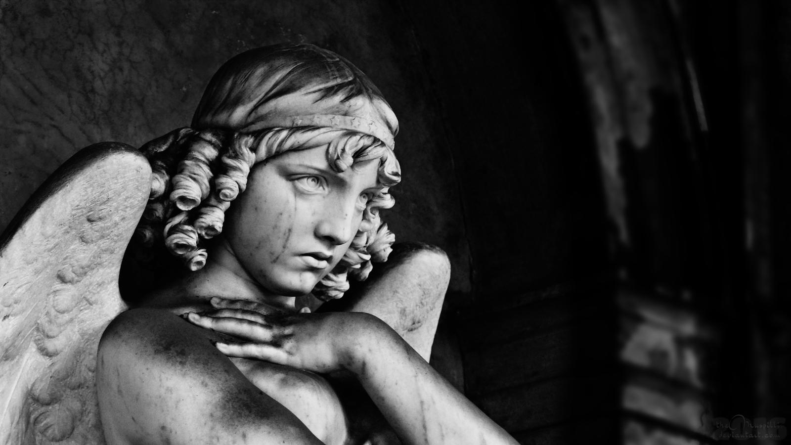 4k and much bigger: focussed look by theMuspilli