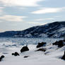 Ice in the Harbour