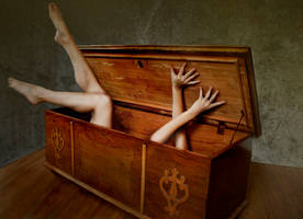 think inside the box 2