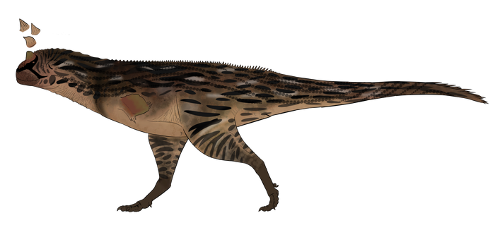 Carnotaurus