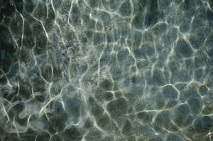 Shining Water_1