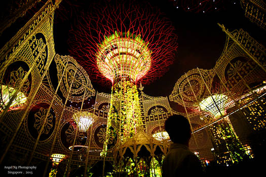 Gardens by the bay, Singapore.