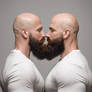 Bearded Twins 3