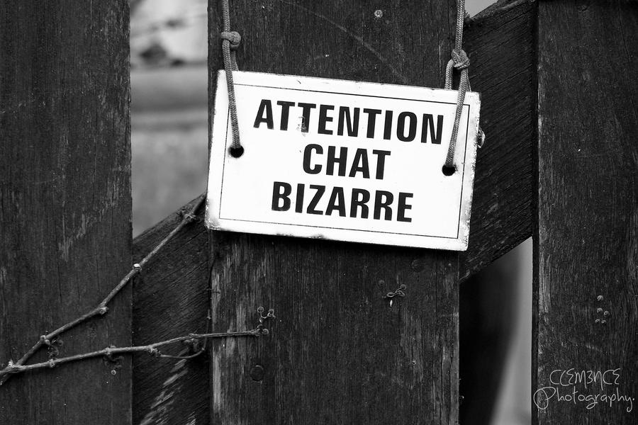 Attention Chat Bizarre By Clem3nce On Deviantart Attention Chat Bizarre By Clem3nce On Deviantart