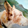 My-dog-tula-ibizan-hound-impressionist-painting-oi