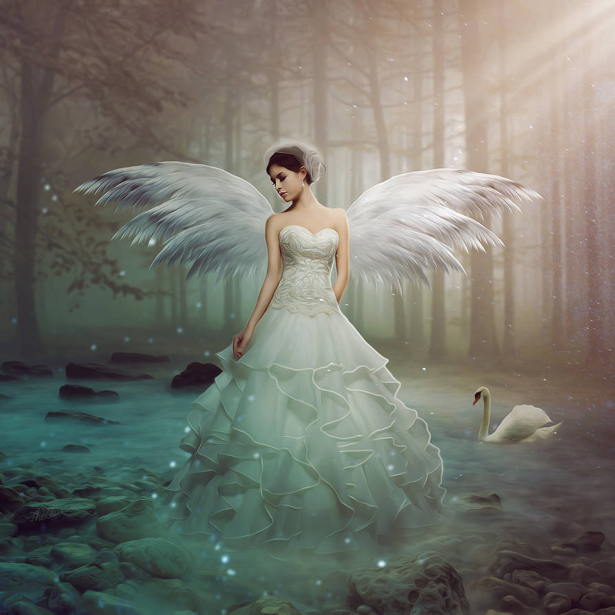 Angel by TheClassica