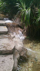 Water Feature